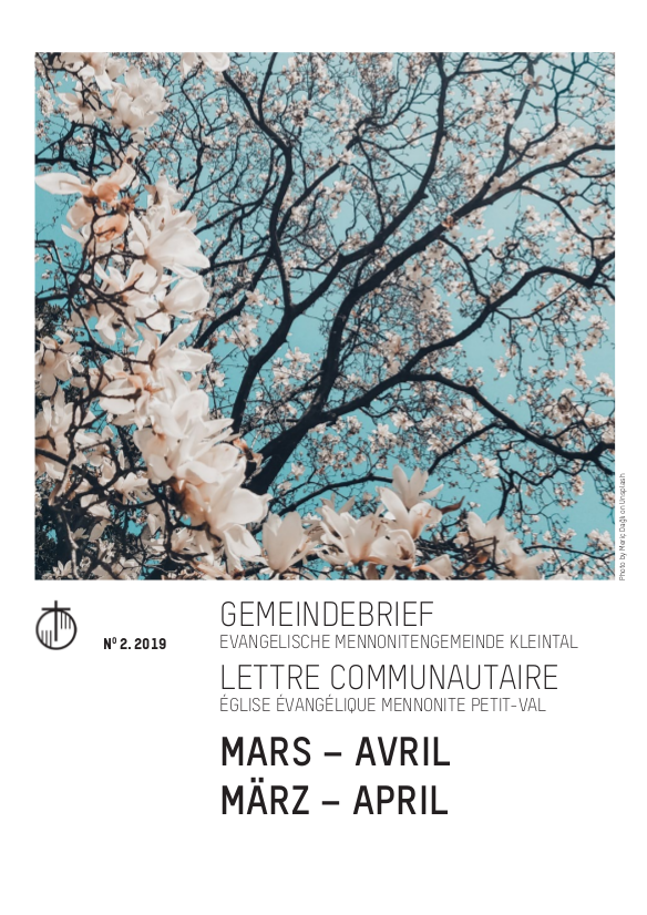 moron_info 03-04_2019