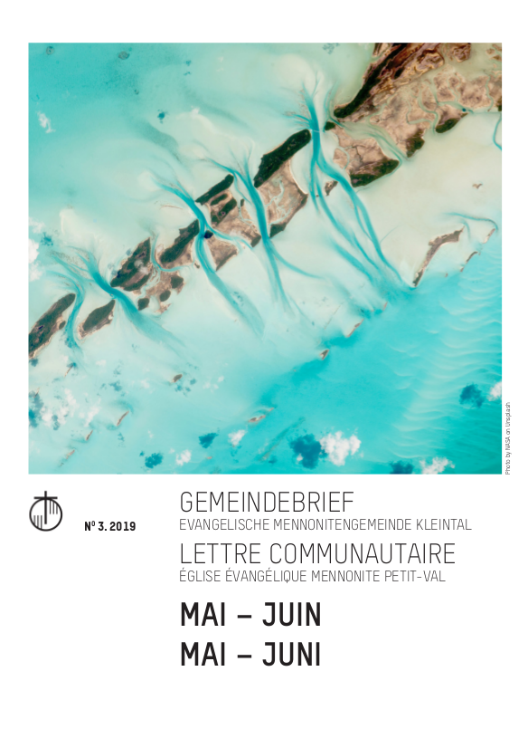 moron_info 05-06_2019